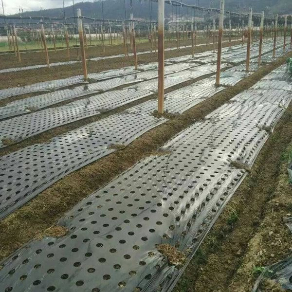 0.95x10m Weed Mat for Garden Stop Weeds Growing Without Chemicals