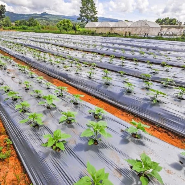 0.95x10m Weed Mat for Garden Stop Weeds Growing Without Chemicals