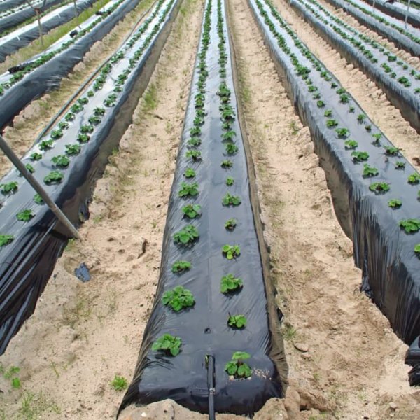 0.95x10m Weed Mat for Garden Stop Weeds Growing Without Chemicals