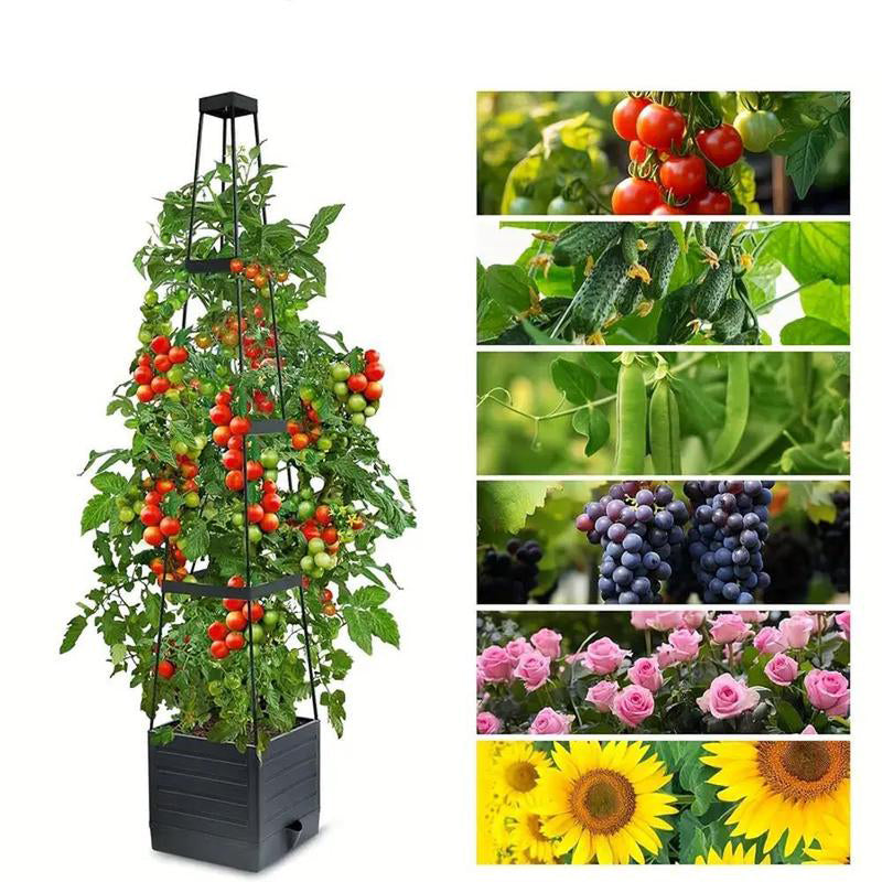 Raised Garden Bed Planter Box with Trellis